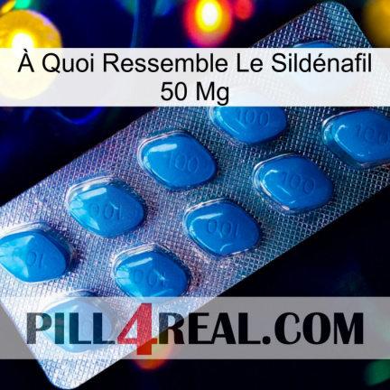 À Quoi Ressemble Le Sildénafil 50 Mg viagra1
